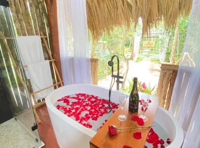 Nuscaa Boutique Tree House&Spa