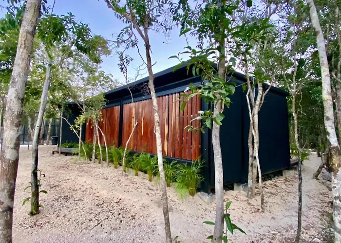 Room In The Jungle + Private Natural Cenote