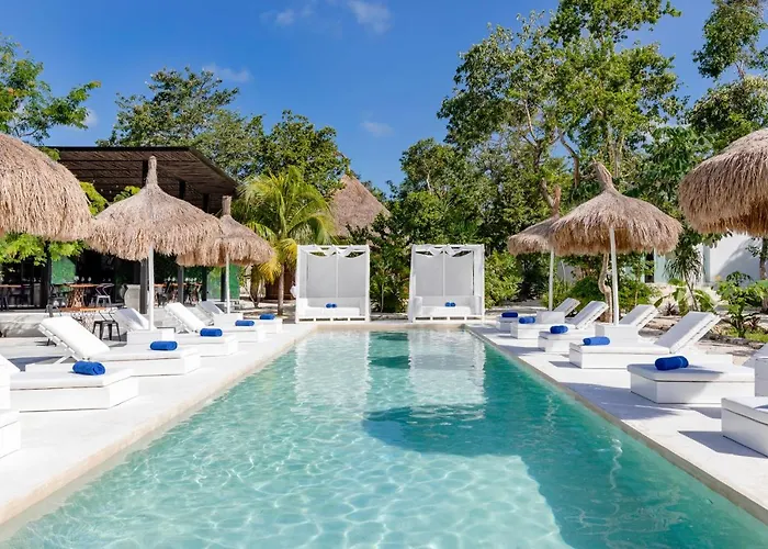 Jungle Lodge Boutique Hotel - Adults Only