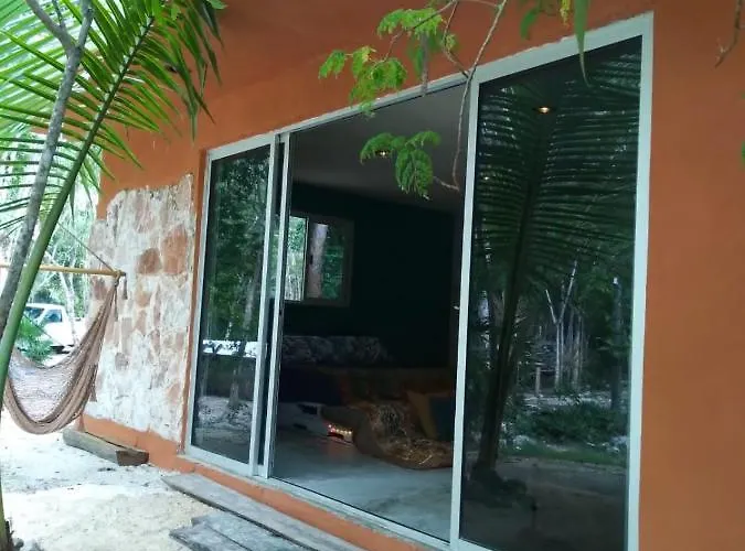 Hidden Oasis Jungle