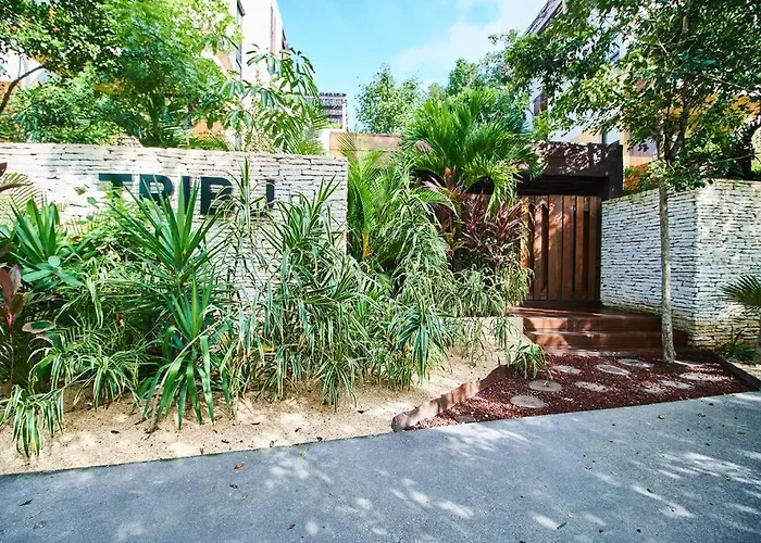 Tribu 205 Magical 1Br Apt Minutes From The Sea 50Mb Wifi
