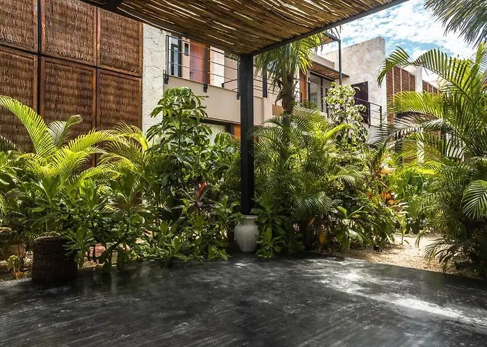 Toh1, Downtown Tulum
