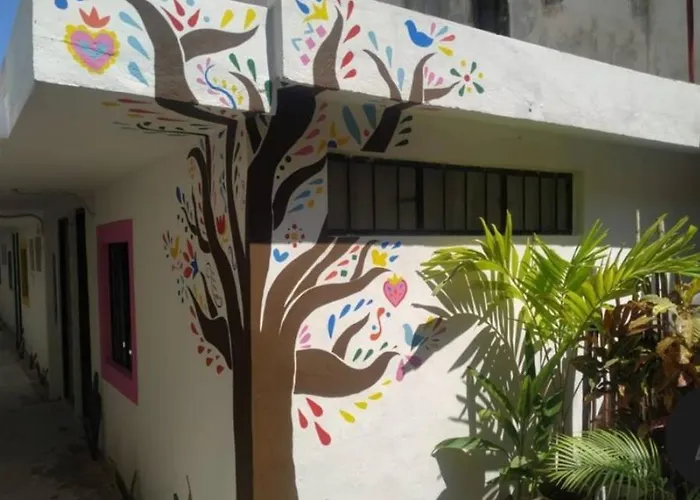 La Casa de los Cactus 8