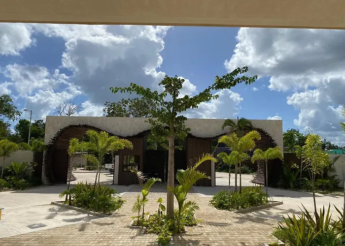 Luxurious Jungle Studio