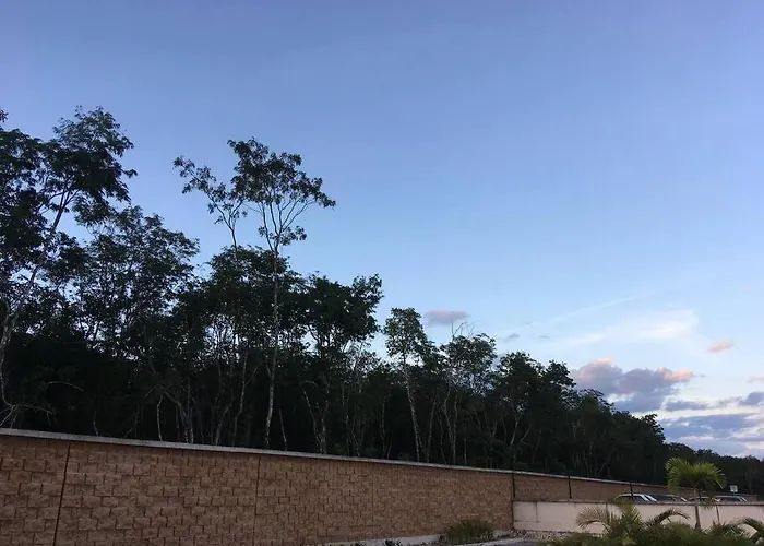 Departamento Tropical En Playa Del Carmen
