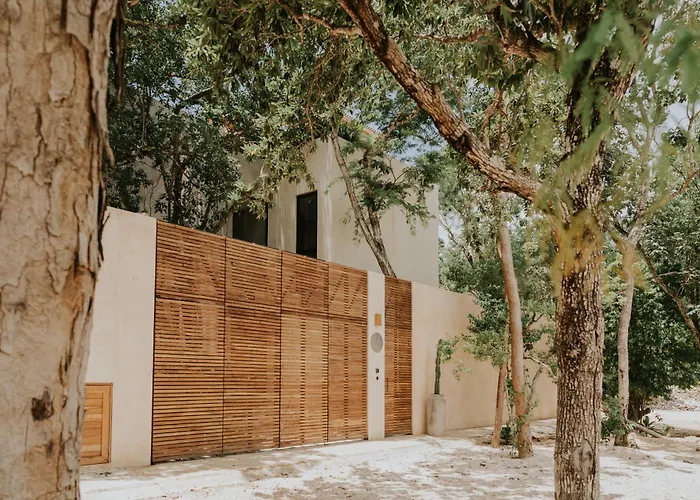 Casa Estrella De Mar Luxury New Jungle House