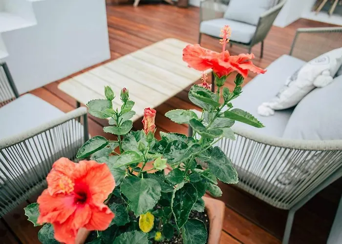 Romantic Roof Top Penthouse! Bbq And Priv. Pool
