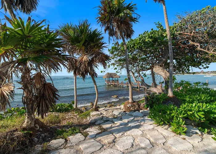 New Modern Beach + Jungle Penthouse Condo
