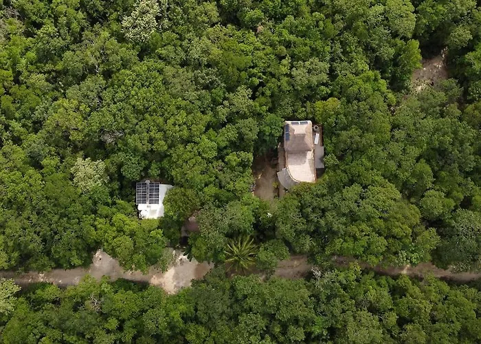 Palapa De La Selva With Cenotes