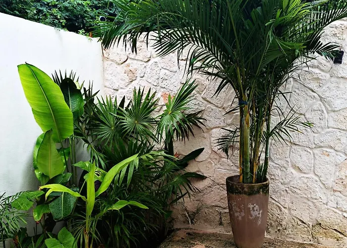 Casa Kaan.