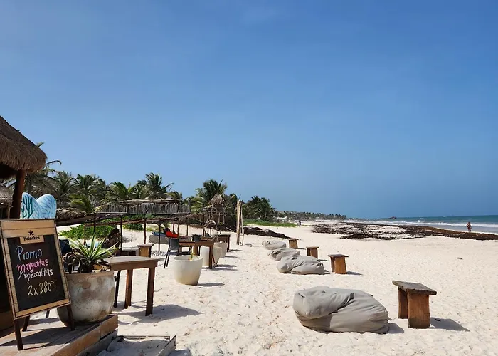 Pal Mar Glamtainer Tulum