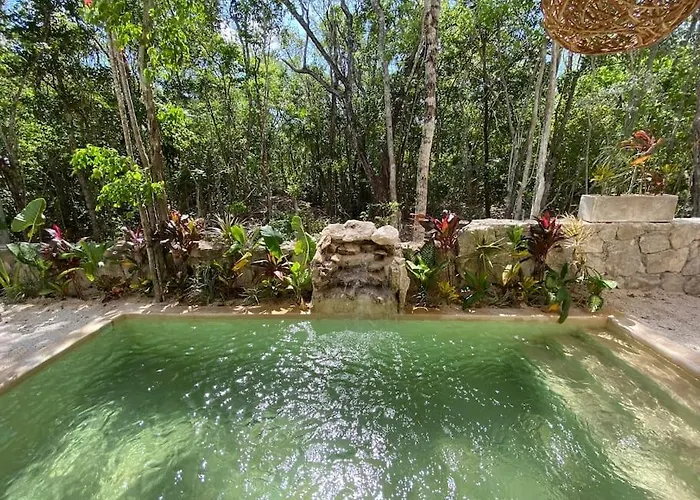Little Oasis With Private Pool In The Jungle