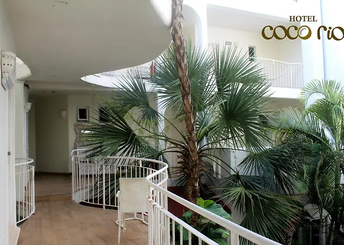 Coco Rio By Hospitality Wellbeing