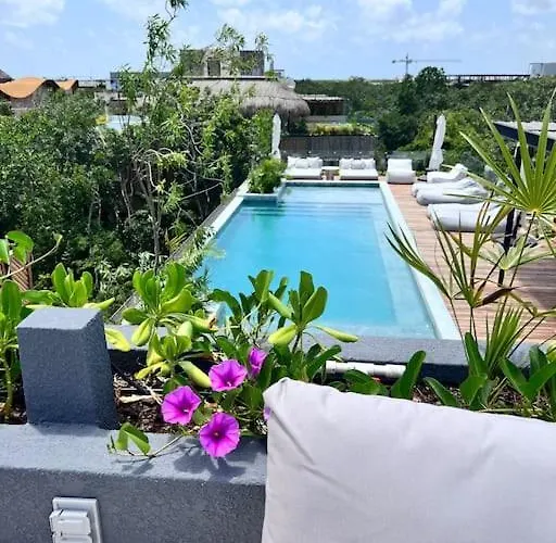 New 5 Star Condo-Infinity And Cenote Pool