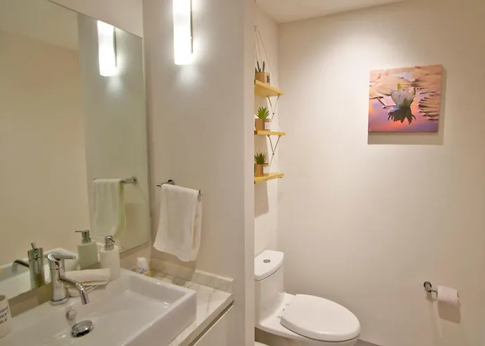 The Gallery Condos Playa De Carmen