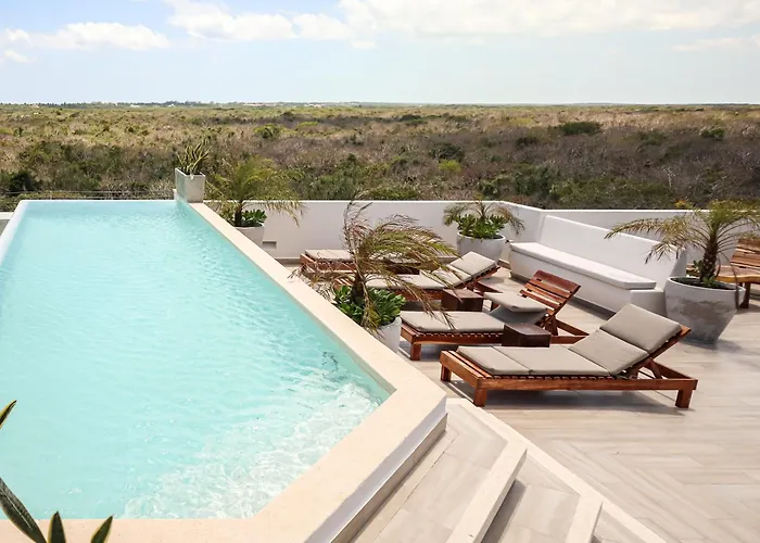 Botanic Departamento Doble En Tulum Con Alberca, Ac, Amenidades, Cerca De La Playa