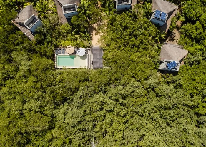Vida Silvestre Tulum