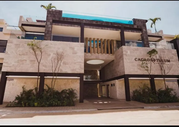 Cacao Tulum Estudio Particular