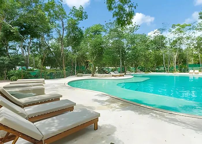 Oasis Yaaxlum Estudios