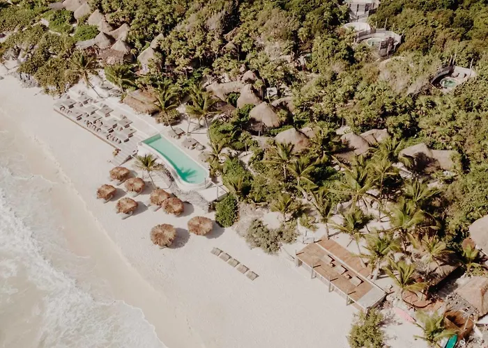 Luxury Condo With Papaya Playa Project Beach Club Membership