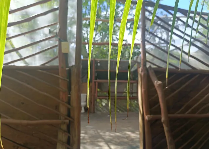 Space For Your Tent