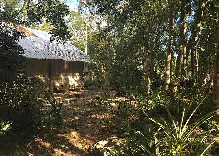 Barefoot Jungle Studios