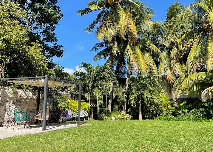 Coco 2 Spacious Apartment Downtown With Garden