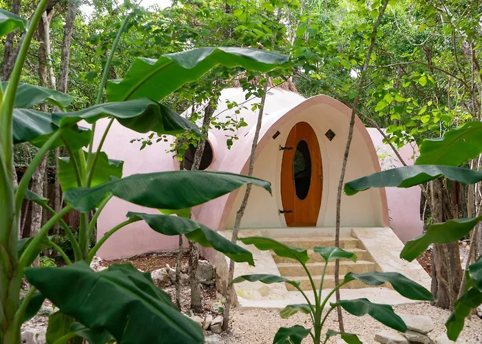 Unique Jungle Dome 2 Queen Beds