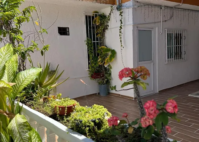 Alojamiento En La Calle 56 Playa Del Carmen