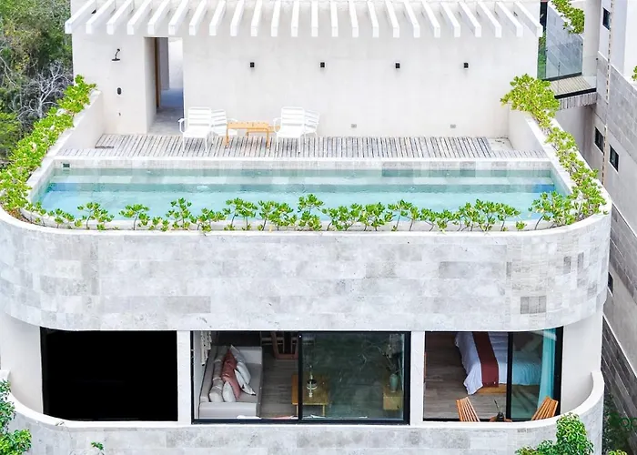 Kaabin Jungle Living C5