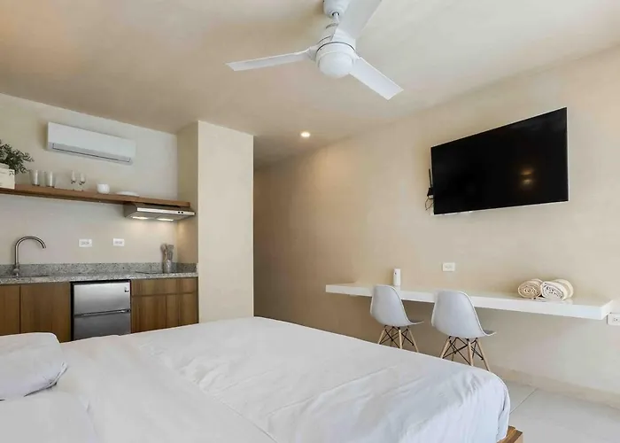 Ideal Studio For Digital Nomads