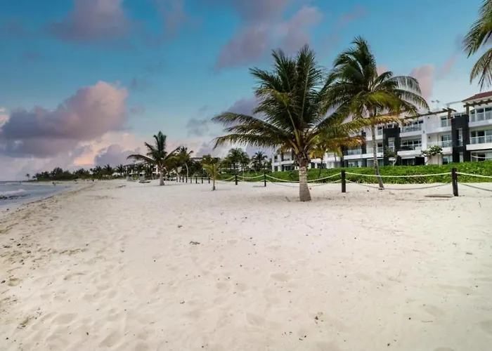 Paraiso Con Vista Al Mar