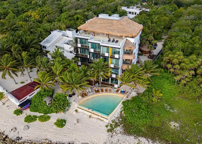 Angelina 28 Beachfront And Family Apartments - Modern And Relaxing Long Stays - 20 Min From Cancun Airport