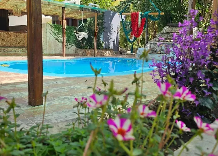Casa Jabali Ecocchic