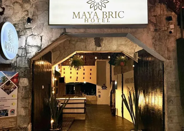 Maya Bric