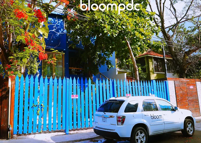 Bloom! Exclusive Boutique B&B (Adults Only)