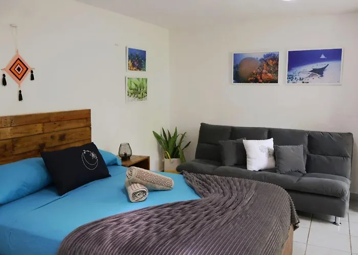Comfy Studio Yaxkin On Downtown, 3 Block Away From Sea And Sunsets
