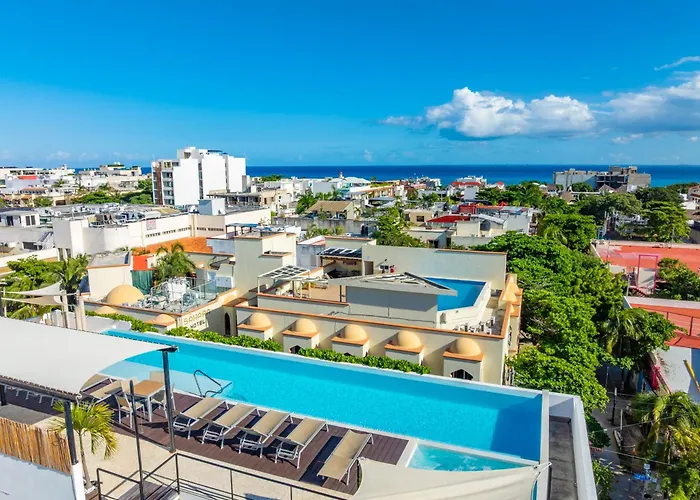 Papaya 15 Apartments