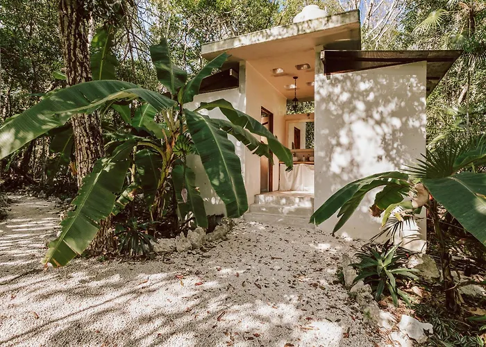 Casa Arkaana Eco Retreat