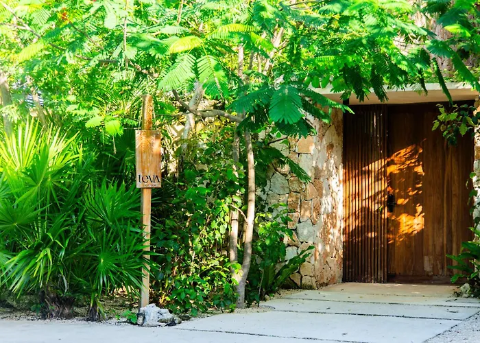Teva Tulum, Aldea Zama