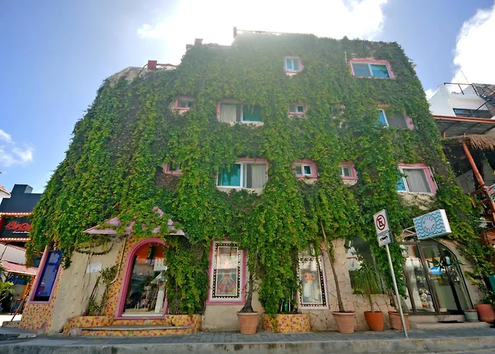 Casa Delfin