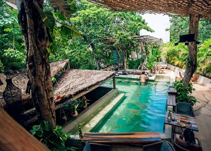 Jungle Sanctuary Wellness Retreat W Pool Bar Spa