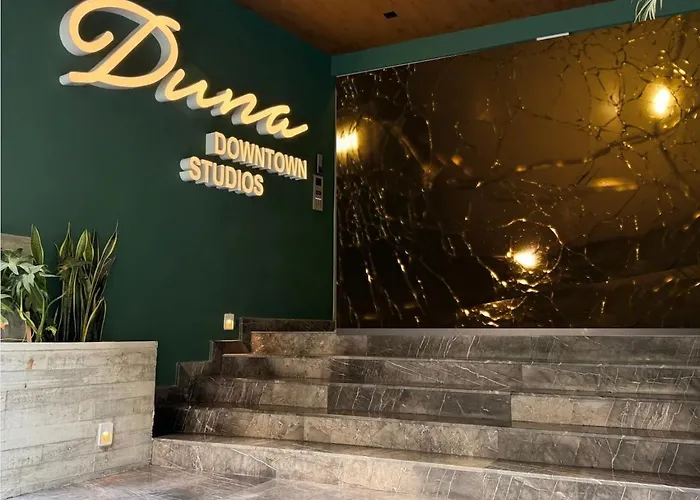 Studio De Luxe Duna 507