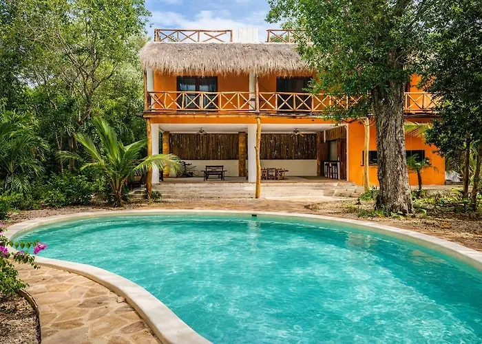 The Jungle House, Sacbe