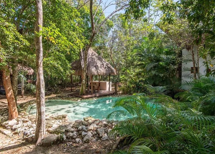 Private Jungle Villa With Full Kitchen & Pool Access