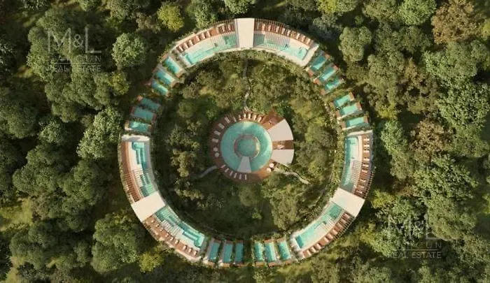 Alof Studio In The Jungle