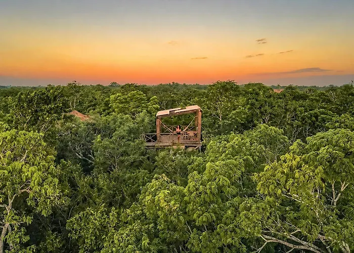 Treehouse Tulum H2Ojos