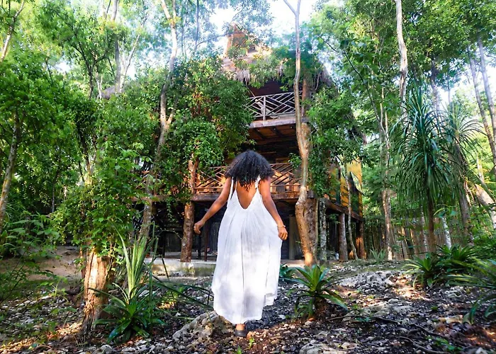 Treehouse Tulum H2Ojos