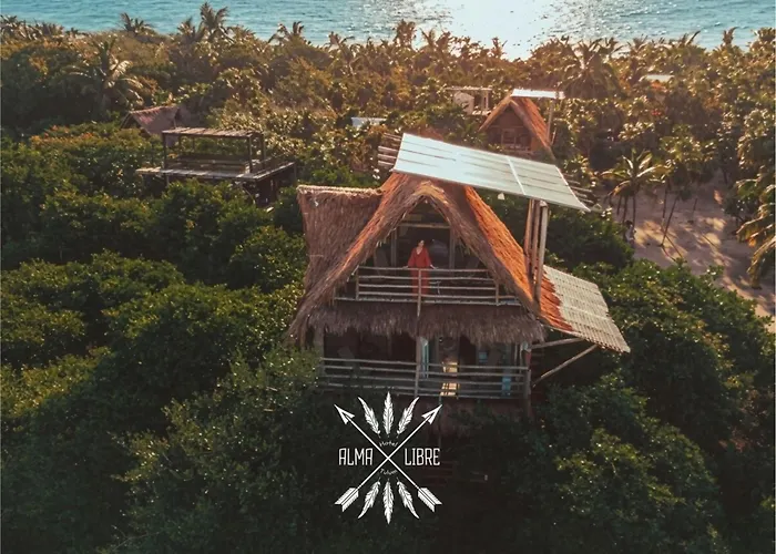 HIPPIE CHIT Jungle House