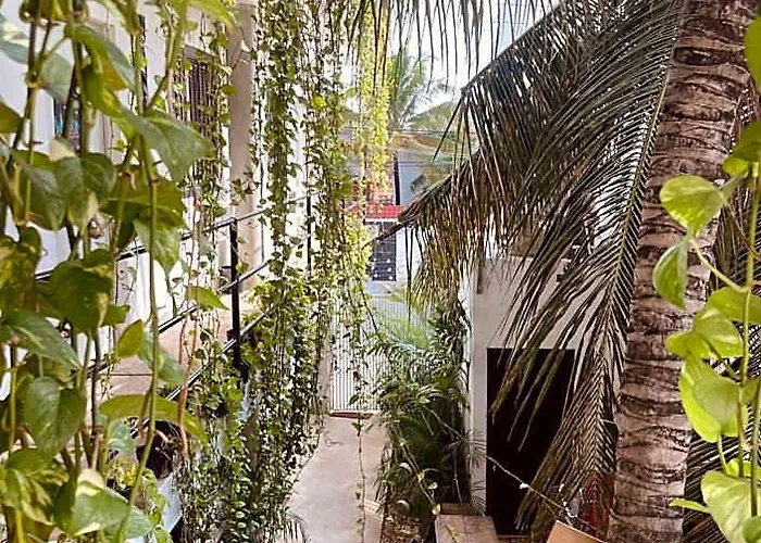 Anana Coliving